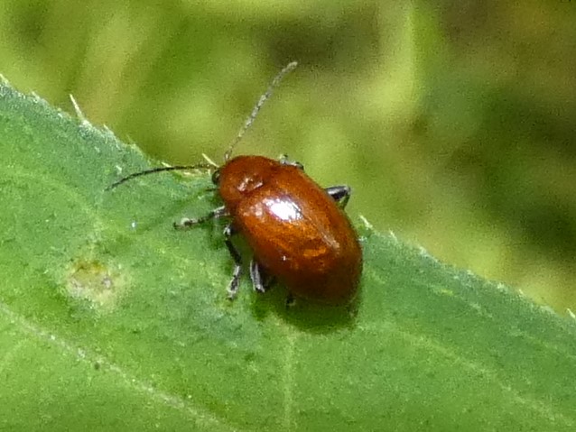 photo_1